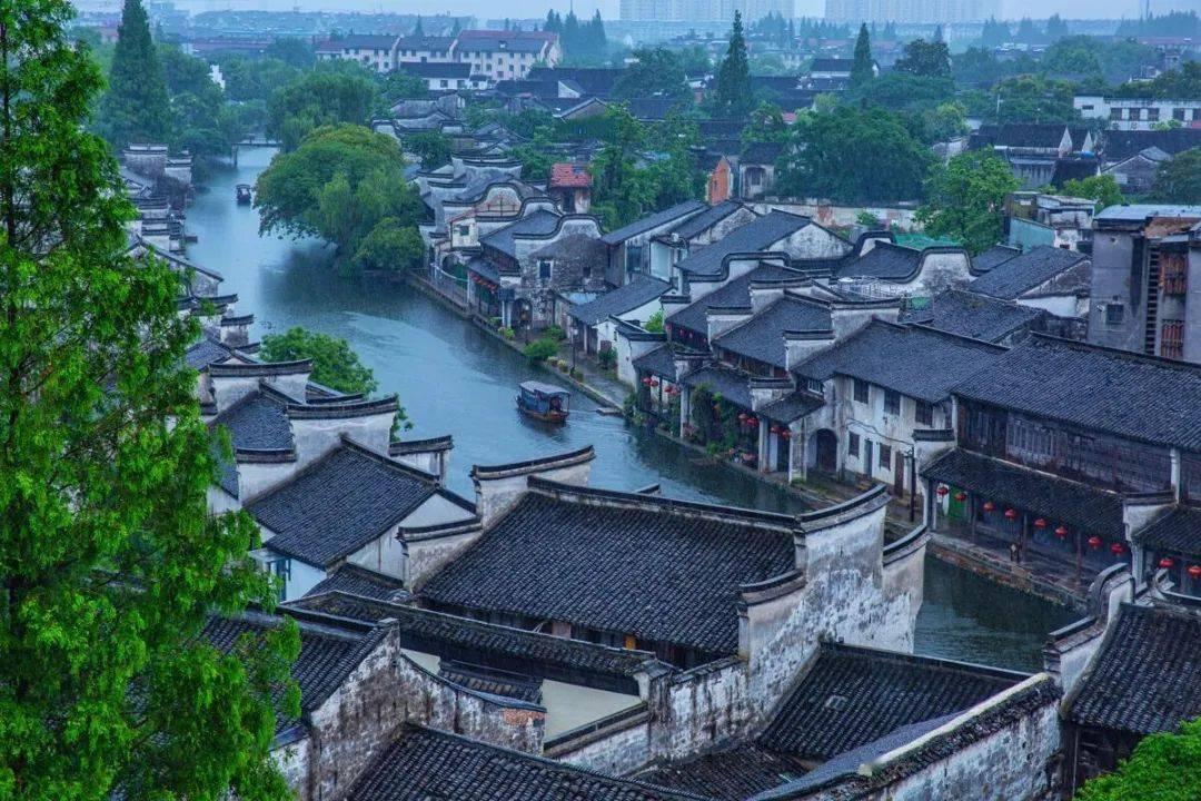 动物帮帮忙保卫家园